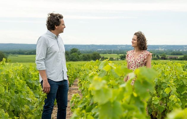 Cave de Théo // Experts en vins et spiritueux // France