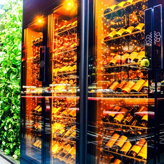 Vitrine à vin professionnelle double porte, 1 température, 180 bouteilles - ShowCave