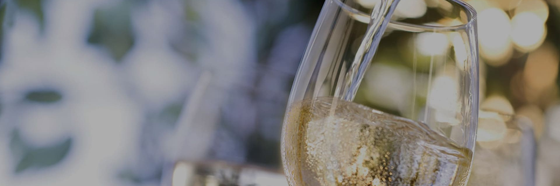 À quelle température se conserve le vin ou le champagne ? À quelle température servir le vin rouge, le vin blanc, le vin rosé ou le champagne ? À quelle température se conserve le vin ou le champagne ? À quelle température servir le vin rouge, le vin blanc, le vin rosé ou le champagne ?