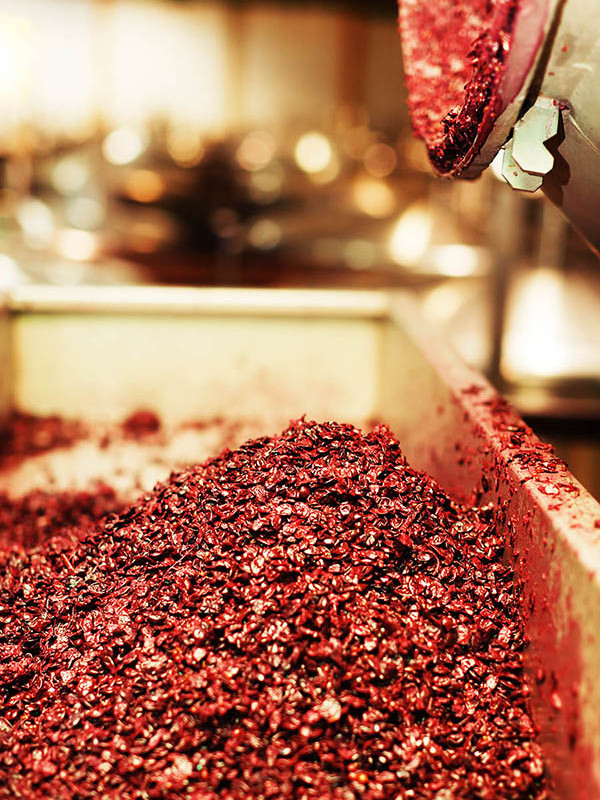 Peaux de raisin et résidus, également connus sous le nom de marc, extrait d'une cuve en inox d'un domaine après extraction du jus. Peaux de raisin et résidus, également connus sous le nom de marc, extrait d'une cuve en inox d'un domaine après extraction du jus.
