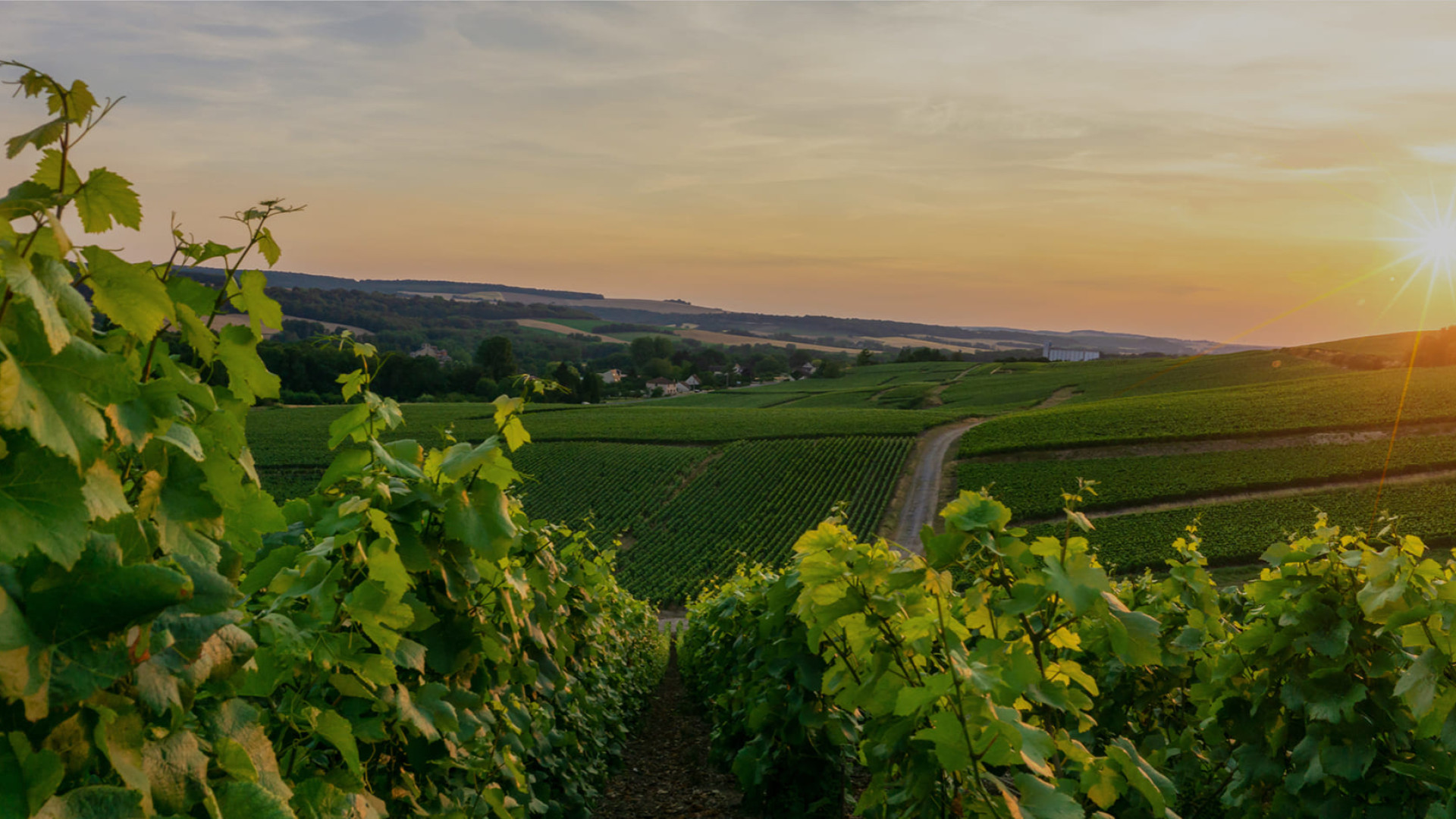 Pour l'achat d'une cave à vin Pure, EuroCave vous offre 500€ offerts en carte cadeau Millésima* Pour l'achat d'une cave à vin Pure, EuroCave vous offre 500€ offerts en carte cadeau Millésima*
