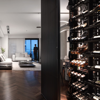 stylish-wine-display-area-featuring-metal-wine-racks-interior-design-eurocave-installation-modulox-israel-shaiepsteinphotography-2.jpg