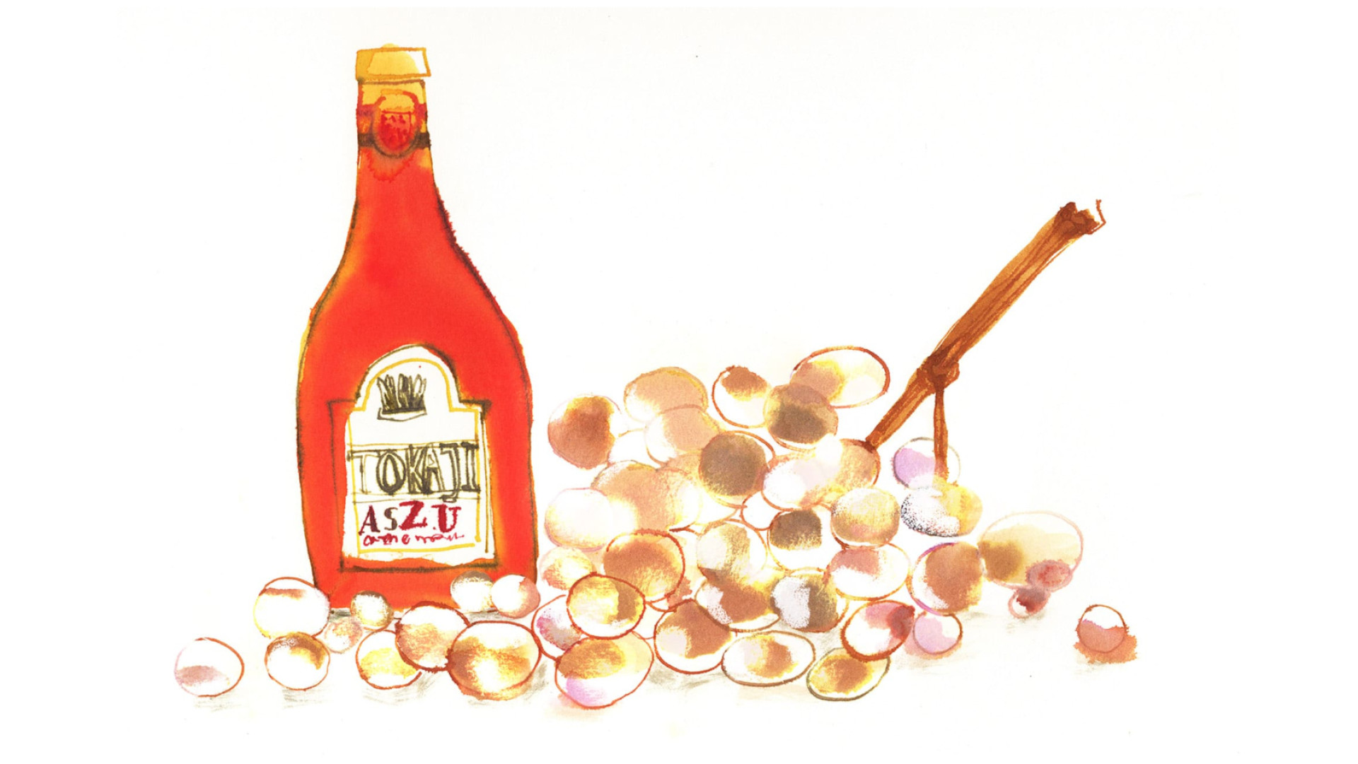 Les autres vins oxydatifs - Illustration de Rebecca Bradley Les autres vins oxydatifs - Illustration de Rebecca Bradley
